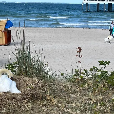 Kuestenherz-timmendorf * Timmendorfer Strand